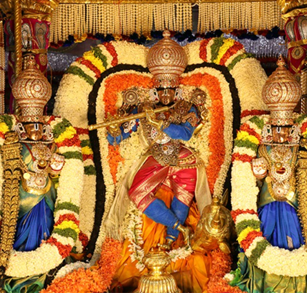 Srivari VIP Darshan